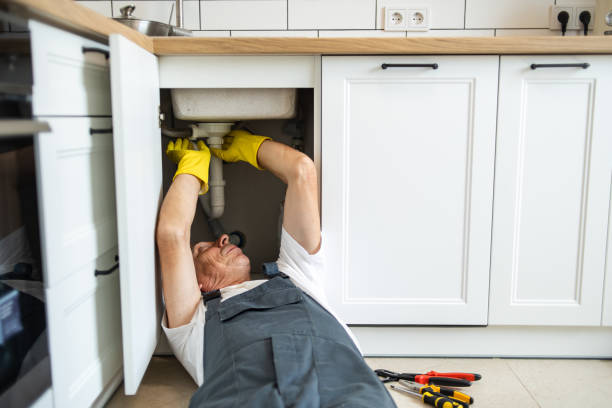 Best Plumbing System Maintenance  in Kentwood, MI